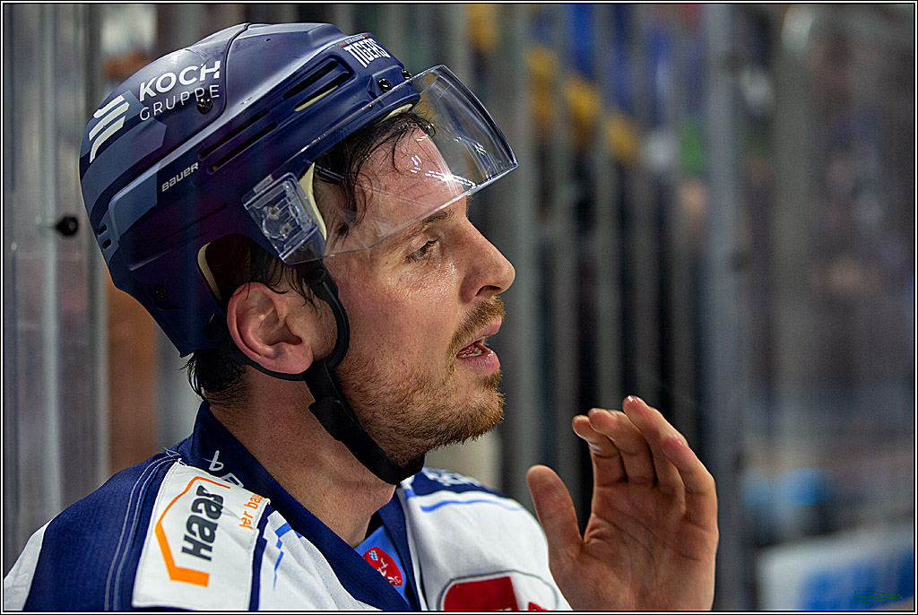 PENNY DEL; Koelner Haie- Straubing Tigers; Koeln, 28.12.2022